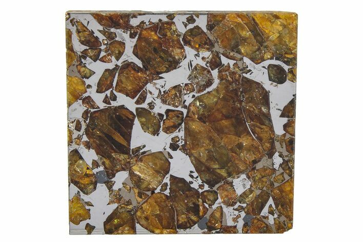 Brahin Pallasite Meteorite ( g) Slice - Belarus #351931